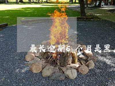 最长逾期6个月是黑户吗 最长逾期6个月是黑户吗