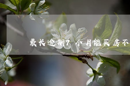 最长逾期7个月能买房不