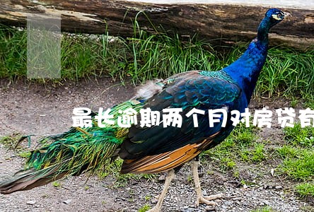 最长逾期两个月对房贷有影响吗 最长逾期两个月对房贷有影响吗
