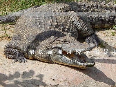 最长逾期月份不满足我行借款条件 最长逾期月份不满足我行借款条件