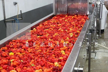 最长逾期月数3是黑户吗 最长逾期月数3是黑户吗