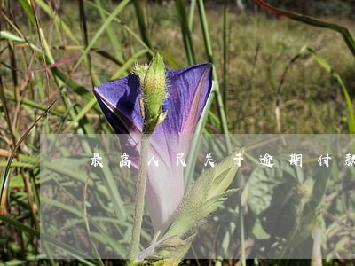 最高人民关于逾期付款违约金 最高人民关于逾期付款违约金
