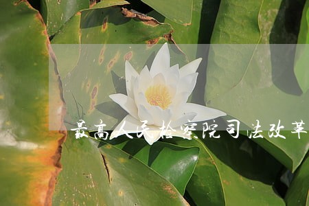 最高人民检察院司法改革白皮书 最高人民检察院司法改革白皮书