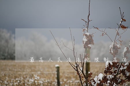 最高人民法法院限制高消费查