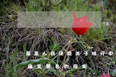 最高人民法院关于执行中华人民共和国刑法确定罪名的规定