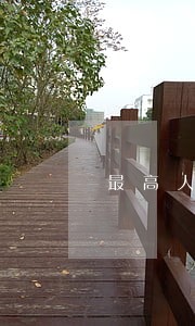 最高人民法院司法观点集成商事卷 最高人民法院司法观点集成商事卷