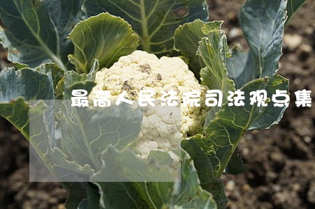 最高人民法院司法观点集成执行