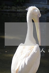 最高人民法院复函有法律效力