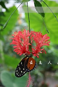 最高人民法院执行异议30条 最高人民法院执行异议30条