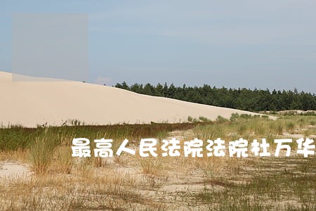 最高人民法院法院杜万华 最高人民法院法院杜万华