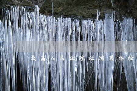最高人民法院法院集体经济组织 最高人民法院法院集体经济组织
