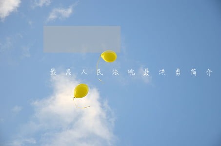 最高人民法院聂洪勇简介 最高人民法院聂洪勇简介