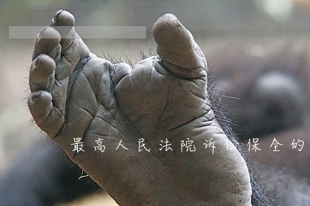 最高人民法院诉讼保全的解释 最高人民法院诉讼保全的解释