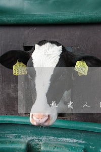 最高人民法院违法拍照 最高人民法院违法拍照