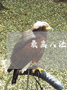 最高人法院关于缓刑 最高人法院关于缓刑