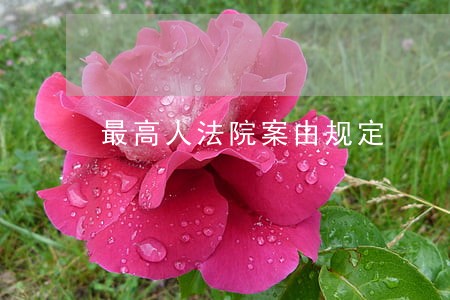 最高人法院案由规定 最高人法院案由规定