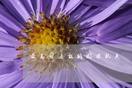 最高司法权的国家机关 最高司法权的国家机关
