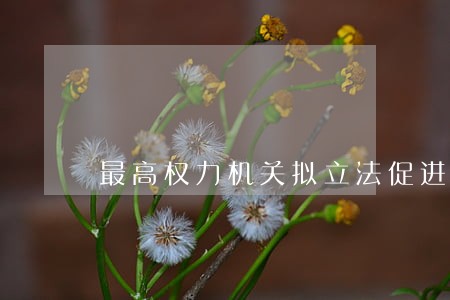 最高权力机关拟立法促进就业 最高权力机关拟立法促进就业