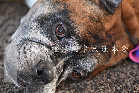 最高检信用卡只还本金