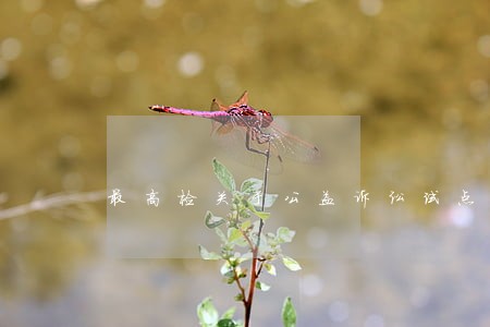 最高检关于公益诉讼试点
