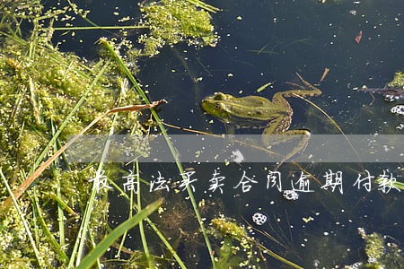 最高法买卖合同逾期付款利息 最高法买卖合同逾期付款利息