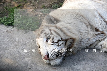 最高法关于逾期付款的诉讼时效 最高法关于逾期付款的诉讼时效