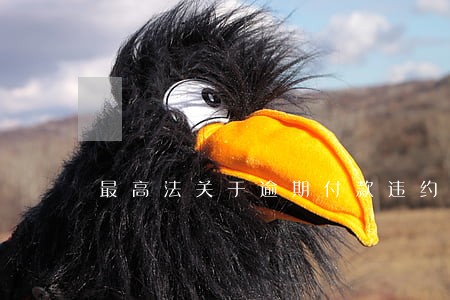 最高法关于逾期付款违约金 最高法关于逾期付款违约金