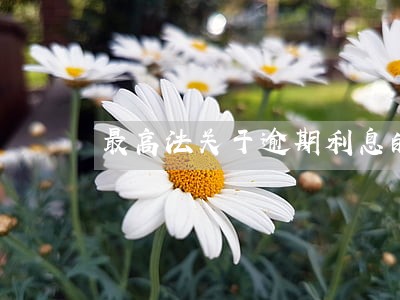 最高法关于逾期利息的规定 最高法关于逾期利息的规定