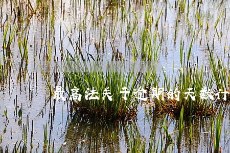 最高法关于逾期的天数计算 最高法关于逾期的天数计算
