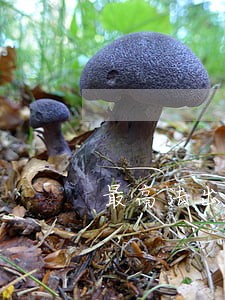 最高法出台的最新法规 最高法出台的最新法规