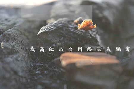 最高法出台网络拍卖规定 最高法出台网络拍卖规定
