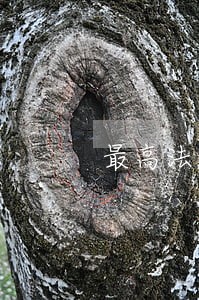 最高法加强和规范司法救助意见 最高法加强和规范司法救助意见