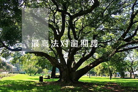 最高法对逾期费 最高法对逾期费