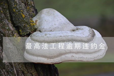 最高法工程逾期违约金