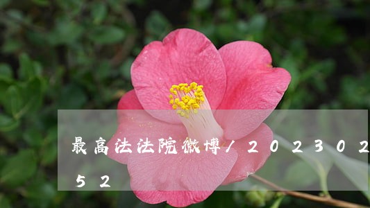 最高法法院微博/2023022828552 最高法法院微博/2023022828552