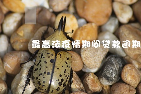 最高法疫情期间贷款逾期