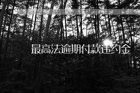 最高法逾期付款违约金