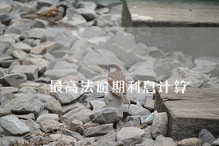 最高法逾期利息计算