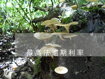 最高法逾期利率 最高法逾期利率