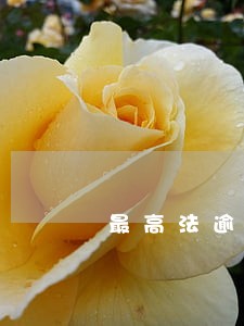 最高法逾期的鉴定申请 最高法逾期的鉴定申请
