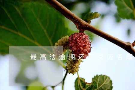 最高法逾期还房贷应否解除合同 最高法逾期还房贷应否解除合同