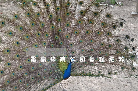 最高法院公司章程无效