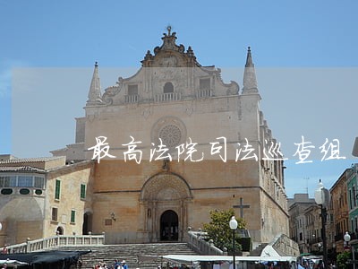 最高法院司法巡查组 最高法院司法巡查组