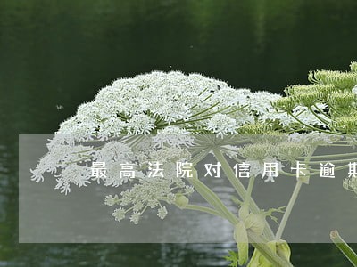 最高法院对信用卡逾期利率新规 最高法院对信用卡逾期利率新规
