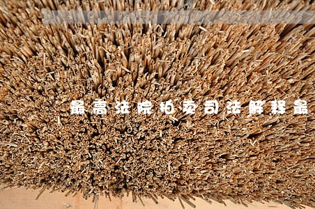 最高法院拍卖司法解释最新
