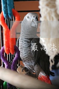 最高法院最高检察院关于公益诉讼 最高法院最高检察院关于公益诉讼