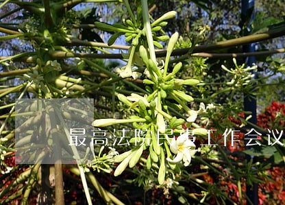 最高法院民事工作会议精神 最高法院民事工作会议精神