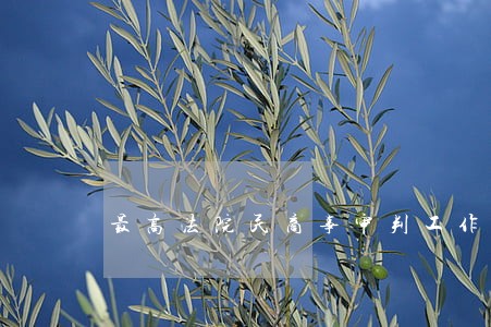 最高法院民商事审判工作会议纪要 最高法院民商事审判工作会议纪要