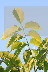 最高法院造谣解释