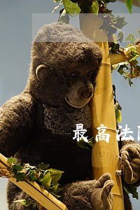 最高法院郭献朝司法巡查 最高法院郭献朝司法巡查